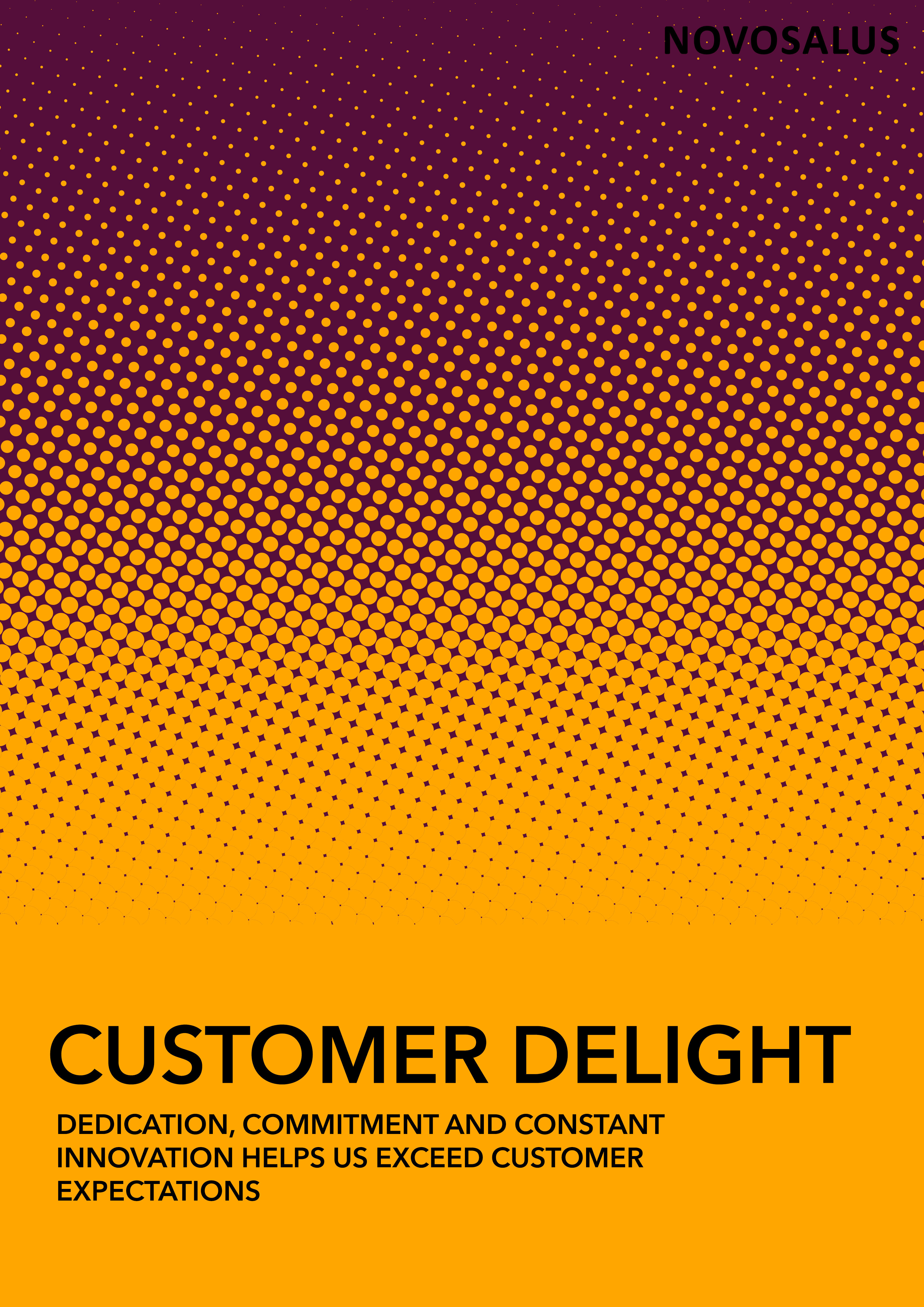 Customer Delight